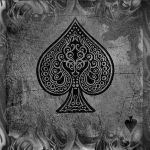 Meet your Posher, Dylan